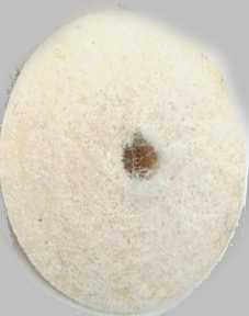 Felt Wheel Knife Edge 2'X1/2